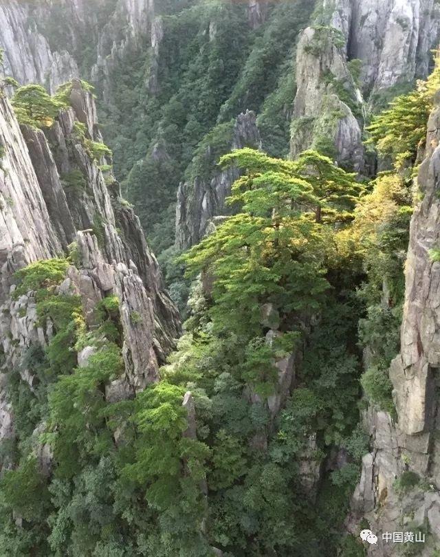 公主的成人礼